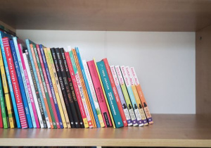 Przedszkolna Biblioteczka - kilka książek na półce