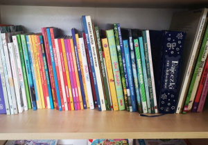 Przedszkolna Biblioteczka - dużo książek na półce